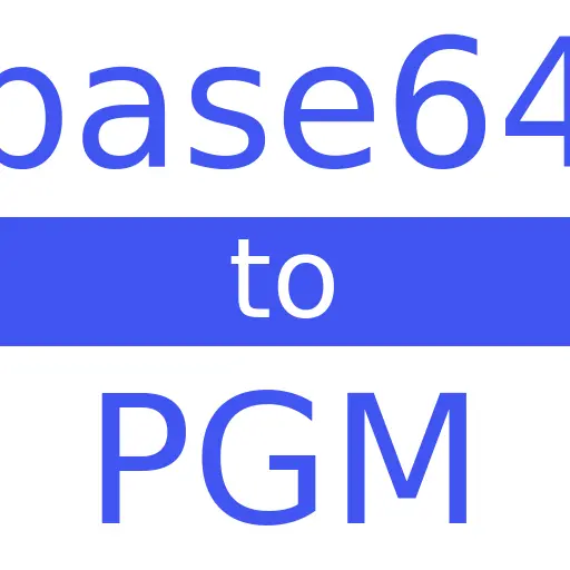 BASE64 to PGM