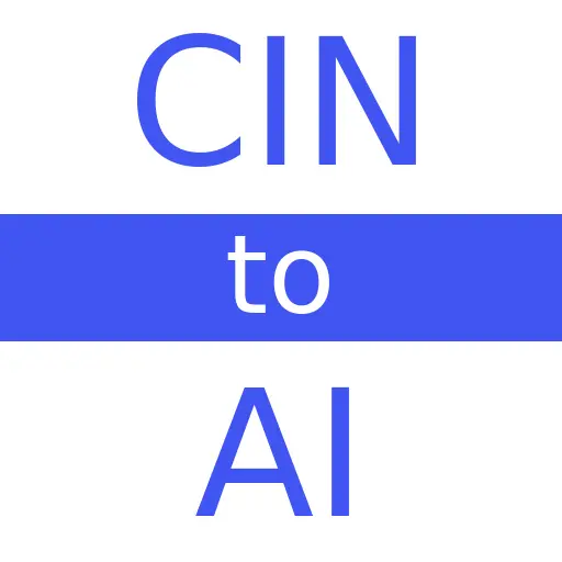 CIN to AI