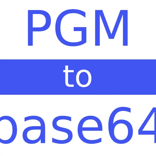 PGM to BASE64